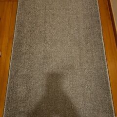 小さなラグ Small rugの画像