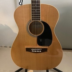legend fg15n アコギ（ガット可） 