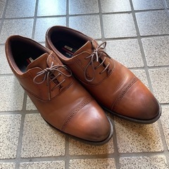 革靴　TEXCY LUXE