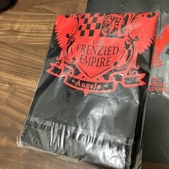 Angelo TOUR 07-08の画像