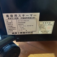 ナノスチーマーパルッキーピエノ