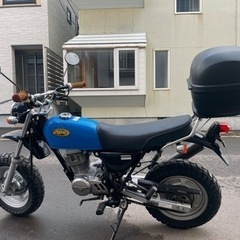 札幌 ホンダ エイプ100 快調な走り！Overマフラー、タケガワキャブの画像