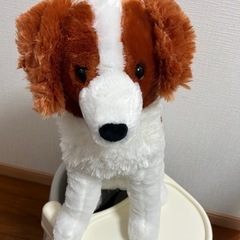 大谷翔平の愛犬デコピン