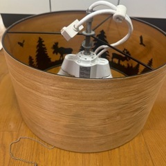 ♪照明器具♪