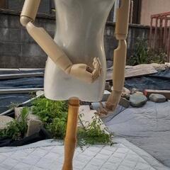 猫脚　トルソー　腕もあります