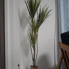 人工観葉植物
