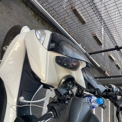 PCX jf28の画像