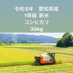 R5 新米　コシヒカリ　一等級　30kg愛知県産