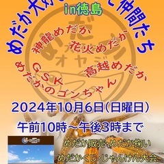 【めだか大好きオヤジ】in徳島 天然温泉御所の郷 【高越めだか】