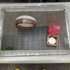 ハムスター　繁殖 多頭飼育 自作ゲージ