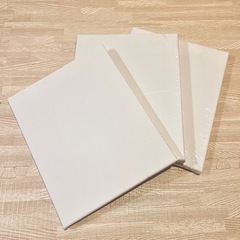 【新品】F3 キャンバス　3枚