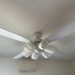 シーリングライト　DAIKO製　の画像