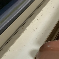 教えてください。本当に嫌で困ってます