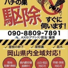 危ない❗蜂を見たらすぐAXIS❗命を奪う蜂🐝うざくない❓