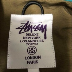 STUSSY マウンテンパーカー
の画像