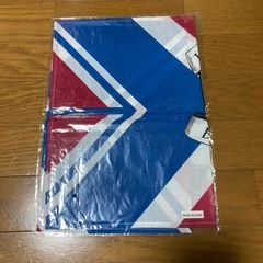 欅坂46  バンダナ？の画像
