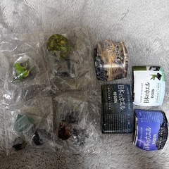 ネイチャーテクニカラー日本のカエル4種セット