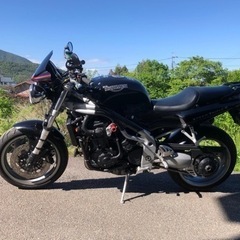 トライアンフスピードトリプル955iの画像