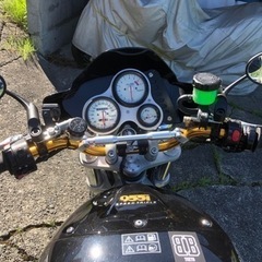 トライアンフスピードトリプル955iの画像