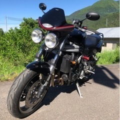 トライアンフ スピードトリプル バイクの中古が安い！激安で譲り