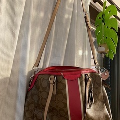 🦋coachショルダーバック🦋の画像