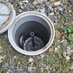 排水口の洗浄