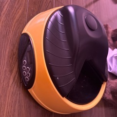 《本日来れる方！》猫の自動給餌器