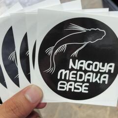 【最新】めだか百華18販売‼️♢名古屋改良メダカ直売所♢　〜ＮＭＢ〜 − 愛知県