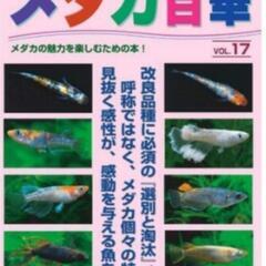 【最新】めだか百華18販売‼️♢名古屋改良メダカ直売所♢　〜ＮＭＢ〜 - 名古屋市