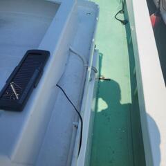 船早い者勝ちの画像