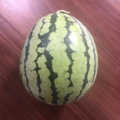 スイカ　　すいか　西瓜
