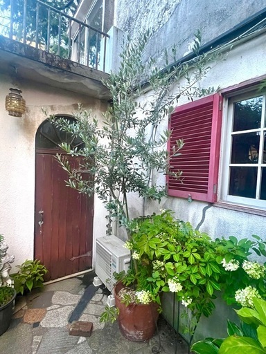 [植物売ります] オリーブ チプレッシーノ