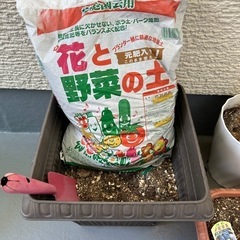 （お話中）園芸用品（プランター、ジョウロ、スコップ他）