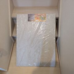 （取引中）吸音パネル フェルメノン 横80cm×縦60cm×厚さ...