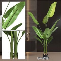 6380円で購入。ほぼ新品。高さ210cm フェイクグリーン オ...
