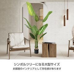 6380円で購入。ほぼ新品。高さ210cm フェイクグリーン オーガスタ 鉢付きの画像