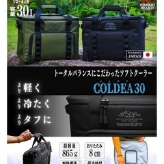 新品&未開封　
ソフトクーラー30Lの画像