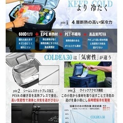 新品&未開封　
ソフトクーラー30Lの画像