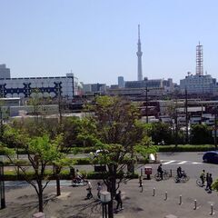 💚ホームステイしたい方のお力になりたい💚