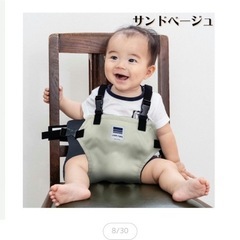 【ほぼ新品】チェアベルト　キャリフリー