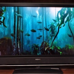 SONY 46型テレビ
