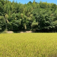 🌾令和6年産✨新米あきたこまち🌾玄米30kg🌾農家直送📦