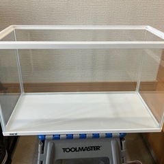 少し大きめの水槽です。