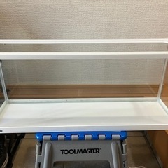 金魚すくいで取った金魚にいかがでしょう？
