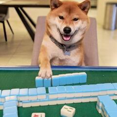 7/27（日）11時～半荘10回（終了21時くらい？）＠三鷹【麻雀部国分寺組】 - 友達