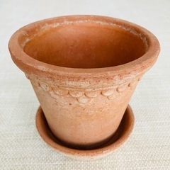 テラコッタ　鉢　イタリア製