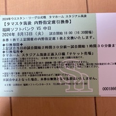 タマスタ筑後 内野指定席引換券8月13日18時試合開始