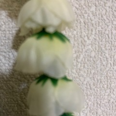 フラダンス　ピカケレイの画像