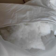 クッション2個  の画像