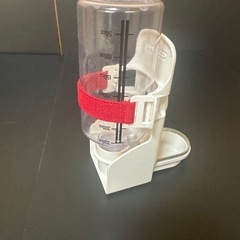 うさぎの水飲み②